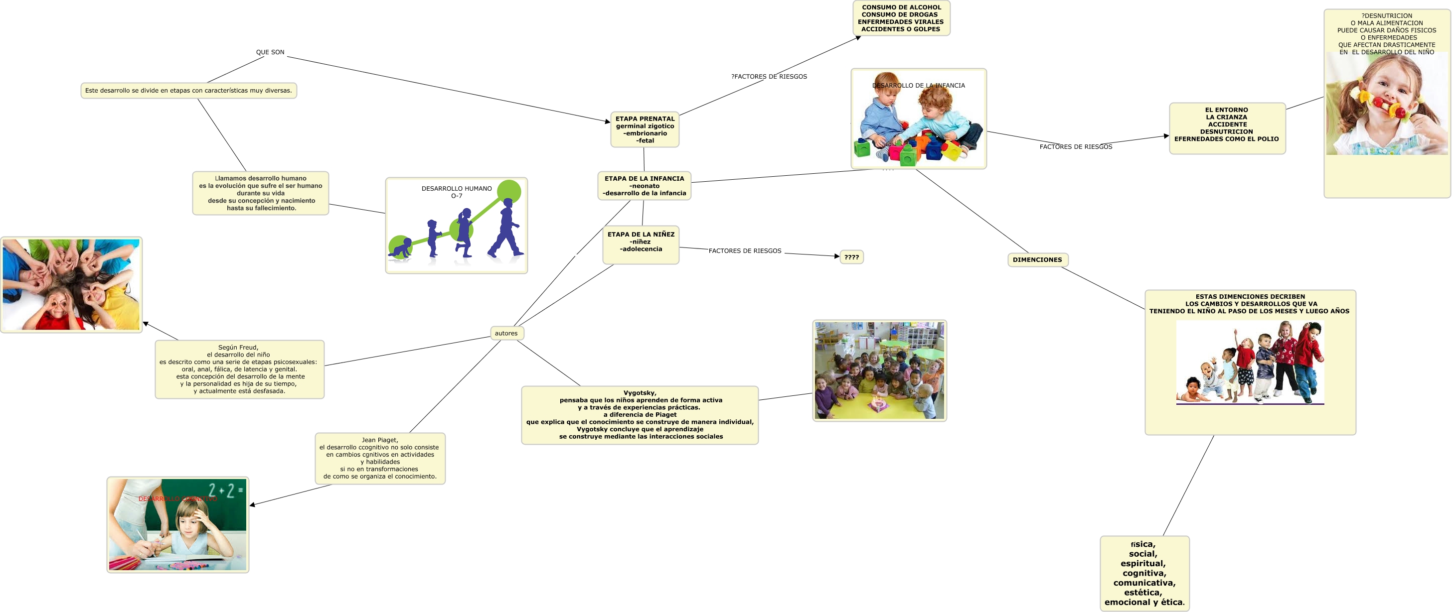 Arriba 56 Imagen Etapas Del Desarrollo Humano Mapa Mental Abzlocalmx 0380